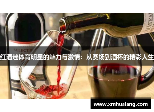 红酒迷体育明星的魅力与激情：从赛场到酒杯的精彩人生
